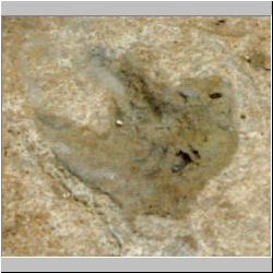 px00b-2-15-close mod2.jpg